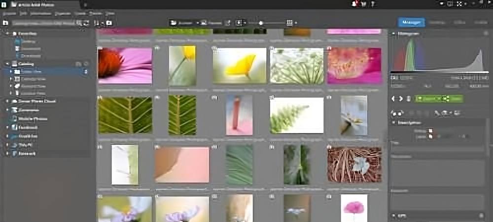 Best Photo Organizing Software For Windows PC (2023)